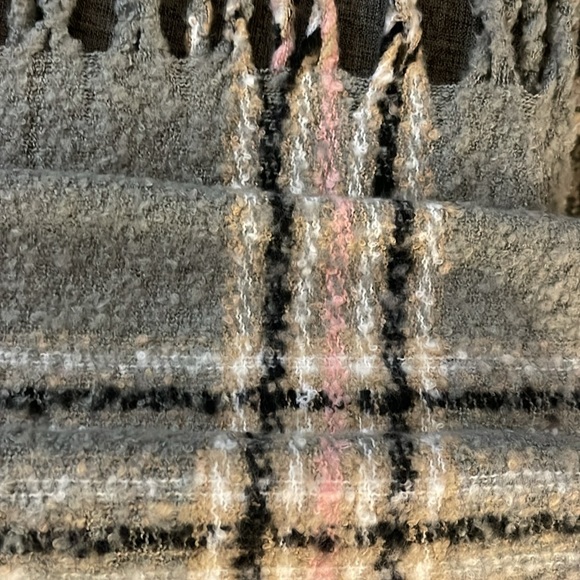 Charlotte Daniel - Picture 6 of 10